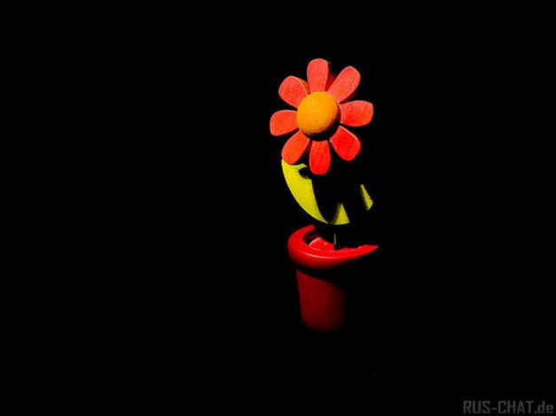 Обои картинки фото разное