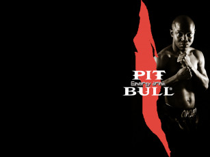 Картинка бренды pitbull