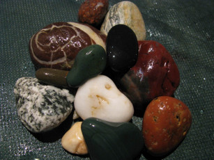 Картинка разное ракушки кораллы декоративные spa камни