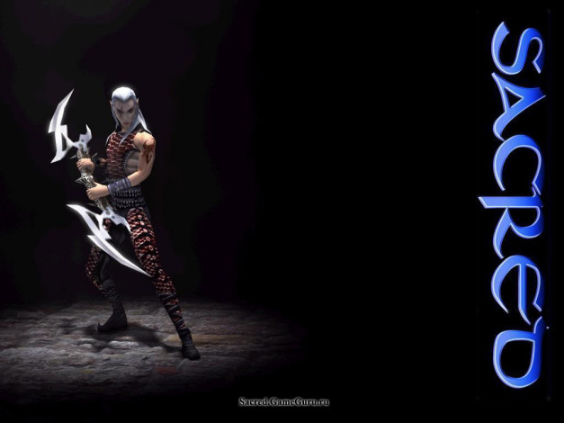 Обои картинки фото sacred, видео, игры