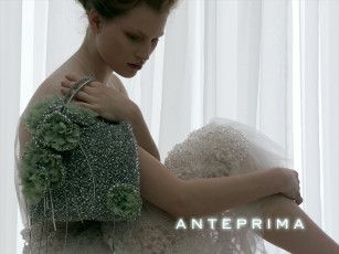 Картинка anteprima бренды