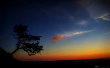 Картинка природа