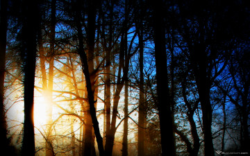 Картинка природа