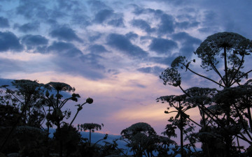 Картинка природа