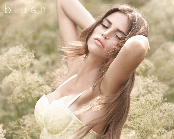 Обои картинки фото бренды, blush