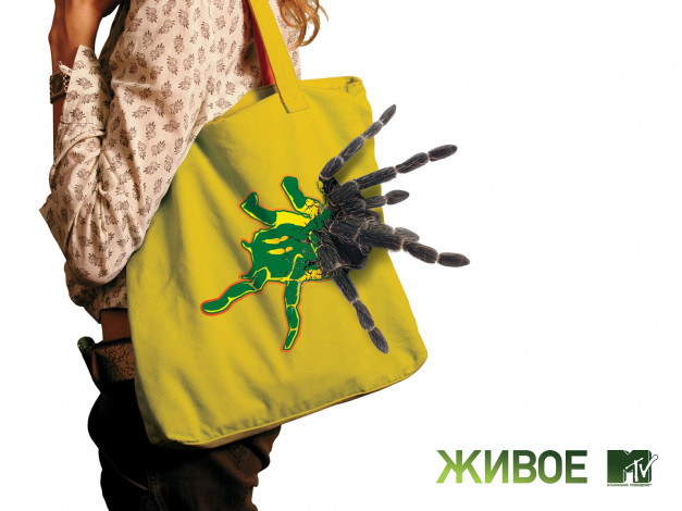 Обои картинки фото mtv, бренды