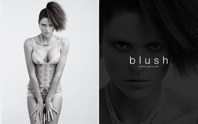 Обои картинки фото blush, бренды