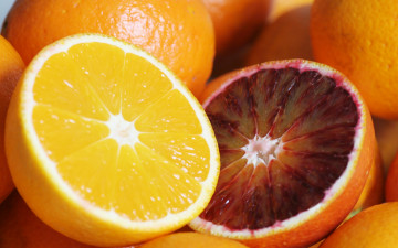 Картинка еда цитрусы