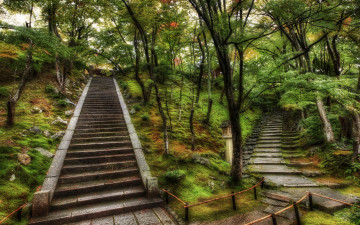 Картинка природа парк