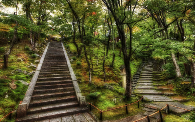 Обои картинки фото природа, парк