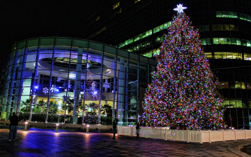 Картинка праздничные Ёлки