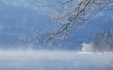 Картинка природа зима