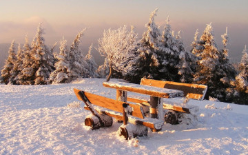 Картинка природа зима