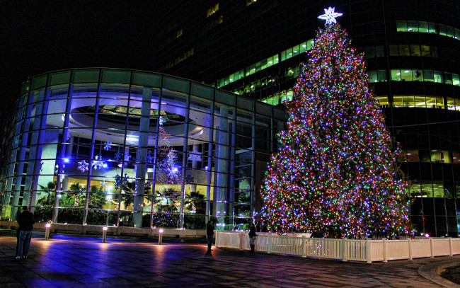 Обои картинки фото праздничные, Ёлки