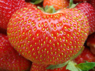 Картинка еда клубника земляника ягоды