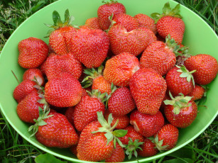 Картинка еда клубника земляника ягоды миска