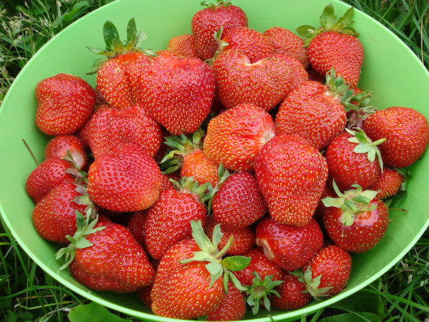 Обои картинки фото еда, клубника, земляника, ягоды, миска