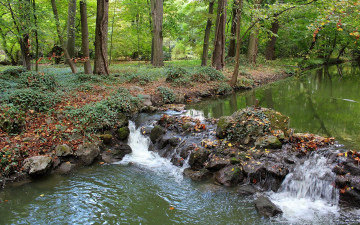 Картинка природа реки озера лес ручей