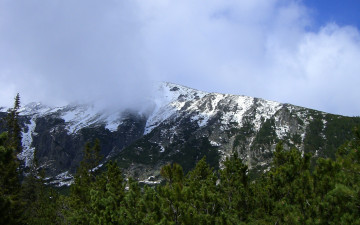 Картинка татры природа горы ели