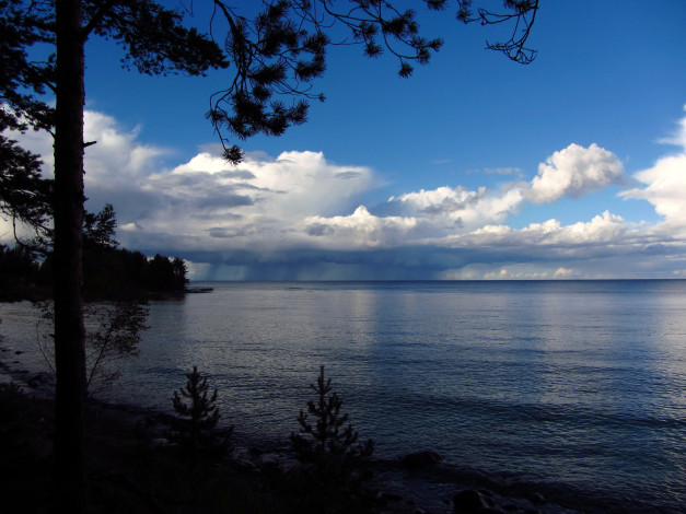 Обои картинки фото ленинградская, область, ладожское, озеро, природа, реки, озера