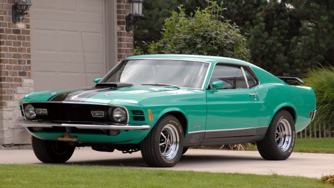 Обои картинки фото mustang, автомобили, мощь, скорость, стиль, автомобиль