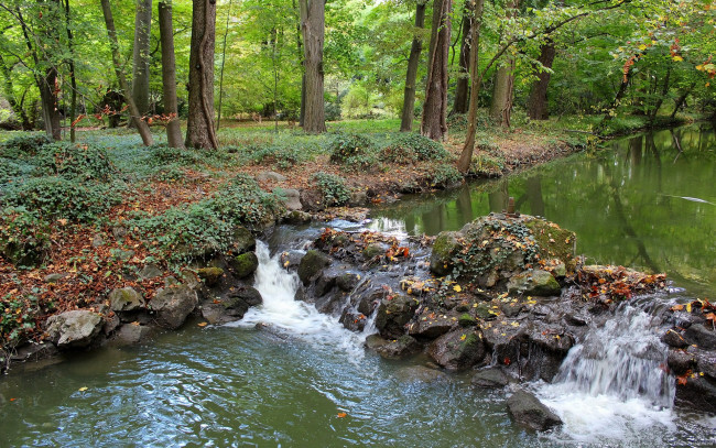 Обои картинки фото природа, реки, озера, лес, ручей