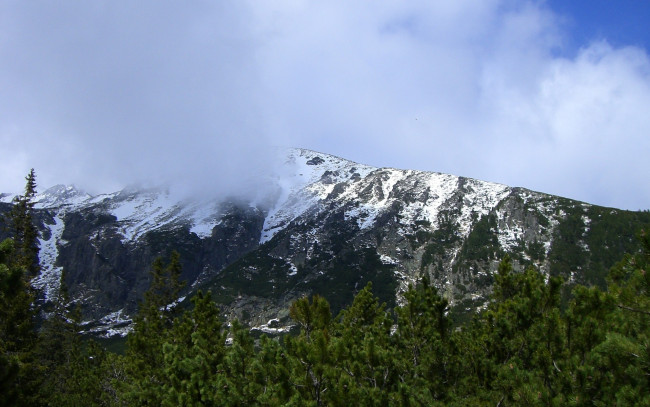 Обои картинки фото татры, природа, горы, ели