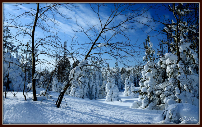 Обои картинки фото природа, зима, снег