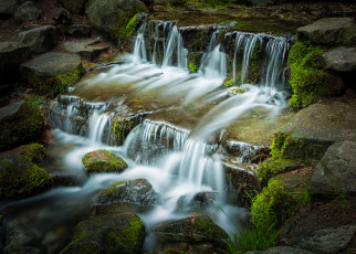 Картинка природа водопады лес река водопад