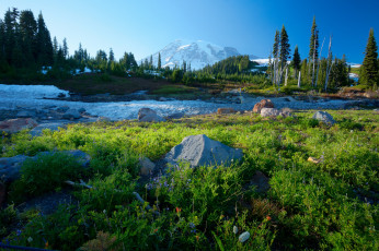 Картинка природа пейзажи горы лес долина