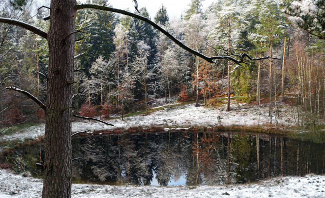 Обои картинки фото природа, реки, озера, лес, озерко