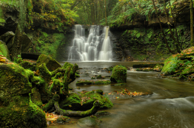 Обои картинки фото природа, водопады, водопад, река, лес