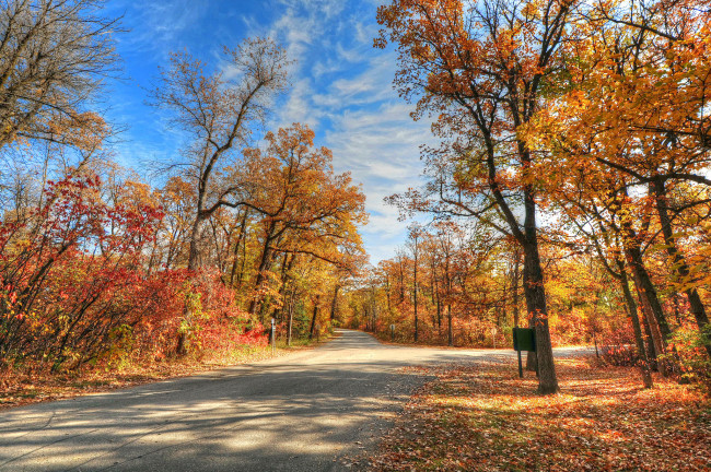 Обои картинки фото природа, дороги, осень, дорога, деревья