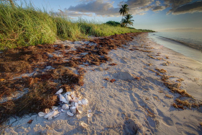 Обои картинки фото природа, побережье, океан, пляж