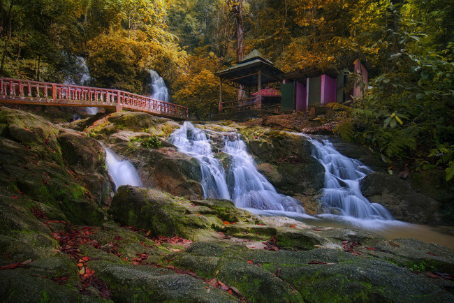 Обои картинки фото природа, водопады, река, лес, водопад