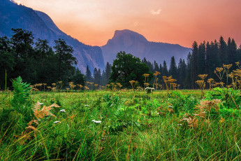 Картинка природа луга лес горы луг