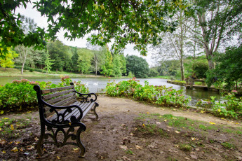 Картинка природа парк лес река