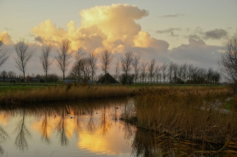 Картинка природа реки озера река лес