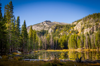 Картинка природа реки озера река лес