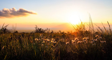 Картинка природа восходы закаты рассвет