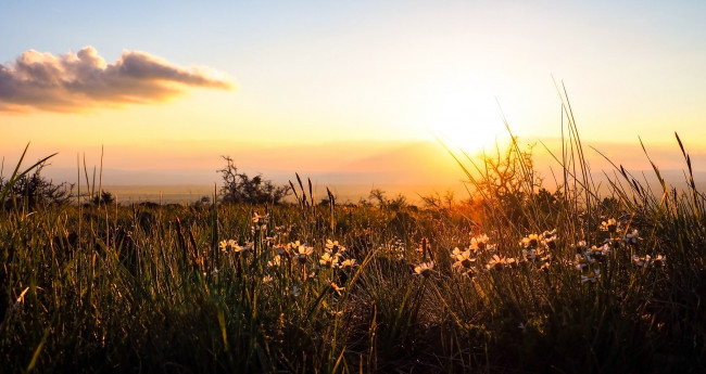 Обои картинки фото природа, восходы, закаты, рассвет