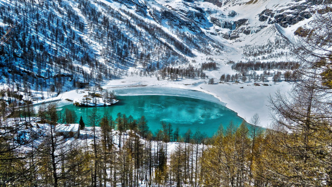 Обои картинки фото природа, реки, озера, река, лес