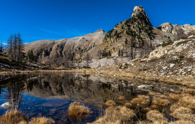 Обои картинки фото природа, реки, озера, река, лес