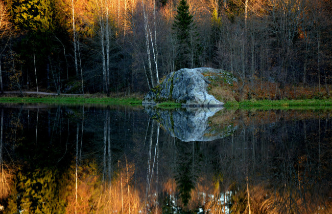 Обои картинки фото природа, реки, озера, река, лес