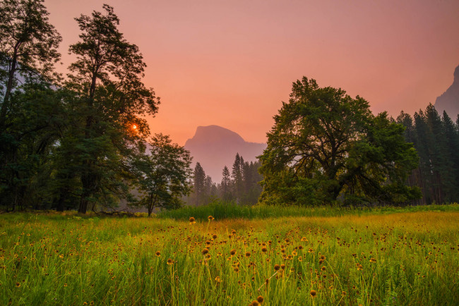 Обои картинки фото природа, луга, луг, лес, горы