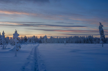 Картинка природа зима снег деревья