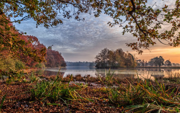 Картинка природа реки озера река лес