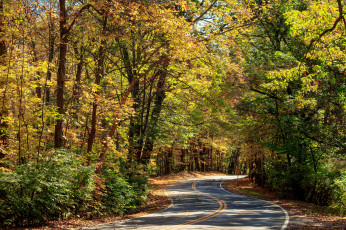 Картинка природа дороги простор