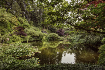 Картинка природа реки озера простор