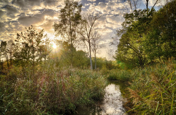 Картинка природа реки озера простор